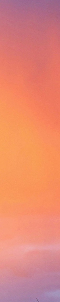 Cactus silhouette against colorful sunset sky.